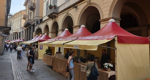 Gazebo — foto 3
